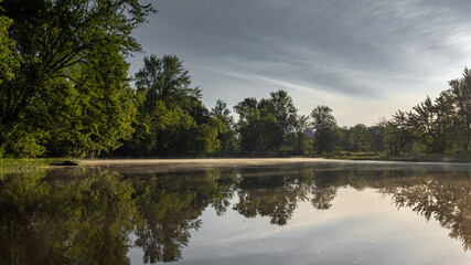 reflection of trees in water
