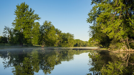 reflection of trees in the water