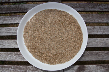 Grass seeds for a hardy lawn photographed on a white dish