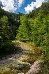 Fototapeta na wymiar River in the Oetschergraeben Gorge in Austria