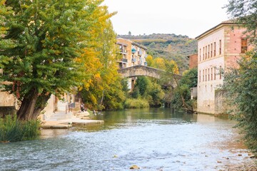 River flowing under an arched bridge at a town during autumn