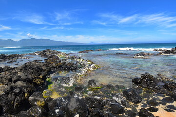 Hawaii tidepool 