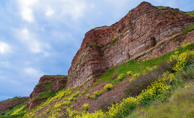 Helgoland - Felswand mit Himmel und gelben Blüten