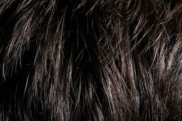 Dark shiny hairy background