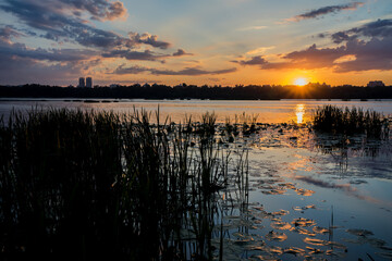 Dawn sky in the city