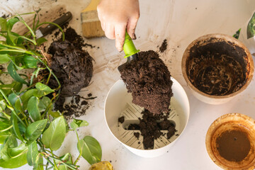 woman holding a shovel with soil to plant the home flower in the pot