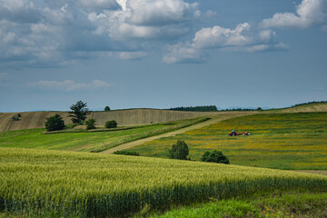 Obraz premium 6月の美瑛パッチワークの丘より