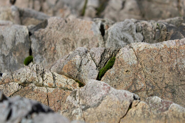 Rock texture. Stones texture and background. Texture of rocks in the river