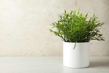 Artificial plant in white flower pot on table against light background. Space for text