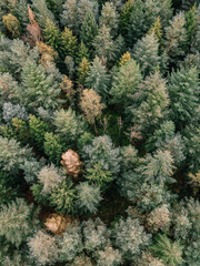 Wald bei Tostedt von oben