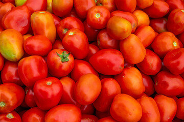 tomate