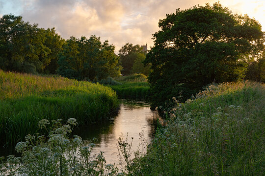 The River Frome