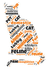 Illustration of a word cloud with words representing cats