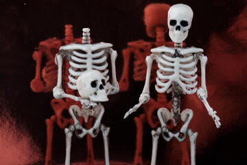 two human toy skeletons stand against the mirror surface, one of them holding his head in his hands