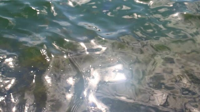 water movement 