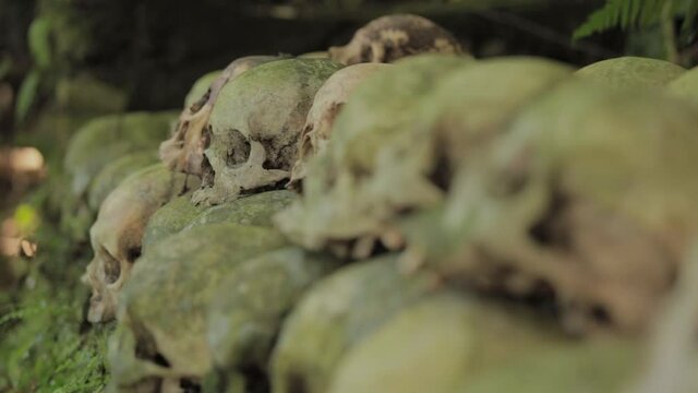 Bali Trunyan Terunyan Village Balinese Cemetary Skull Skulls Skeleton Dead Human Bones Death Deceased