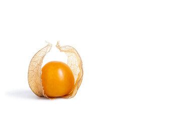 Single gooseberry, physalis isolated on white background, clipping path