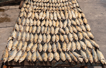 salted Mackerel, is fish cured with dry salt and thus preserved for later eating. Photographed at close range in the fish market.