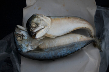 2 mackerel placed on a white glossy paper