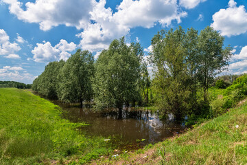 Nature background of flooding with trees in water. Natural disaster flooding and damage