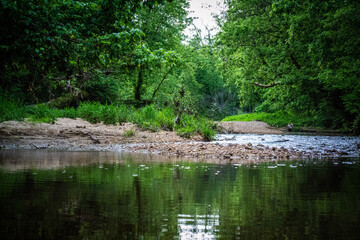 Creek in Virginia