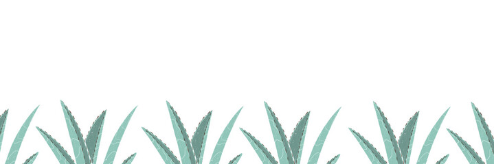 Aloe framing. Place for text. Frame.