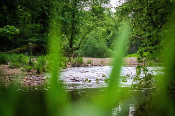 Creek in Virginia