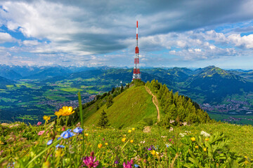 Grünten - Sender - Blumen - Allgäu