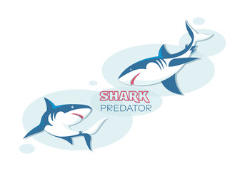 Sharks underwater. Sketch. Vector illustration with splash texture. Marine mammals. Design for poster