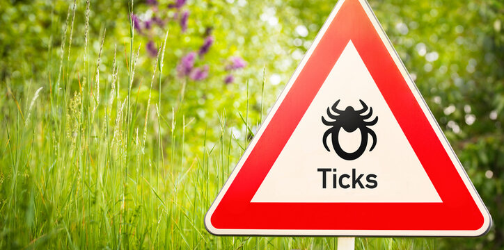 Attention sign with symbol of a tick in front of a nature background with high grass