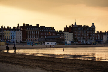 Horses along Weymouth Beach