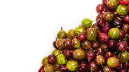 Gooseberry isolated on white background.