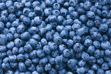 Fresh blueberry background. Texture blueberry berries close up.