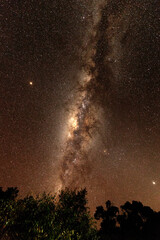Milky way with tree at forground taken at Masai Mara Wildlife National Park, Kenya