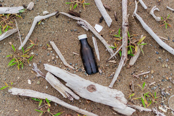 砂浜と白い流木と空き瓶