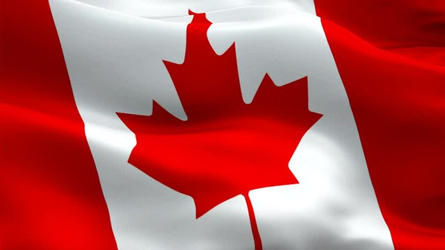 Canada flag waving in wind. Realistic Canadian Flag background. Red maple leaf flag Closeup 1080p HD video. Ottawa 1080p Full HD 1920X1080 footage video waving.Canada seamlessly looping footage video

