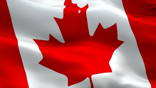 Canada flag waving in wind. Canadian Flag background. Red maple leaf flag Closeup 1080p HD video. Canada Day Montreal 1080p Full HD 1920X1080 footage video waving.Canada seamlessly footage video
