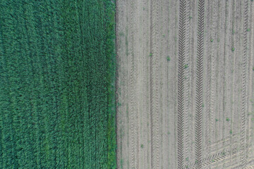 Farming from Above