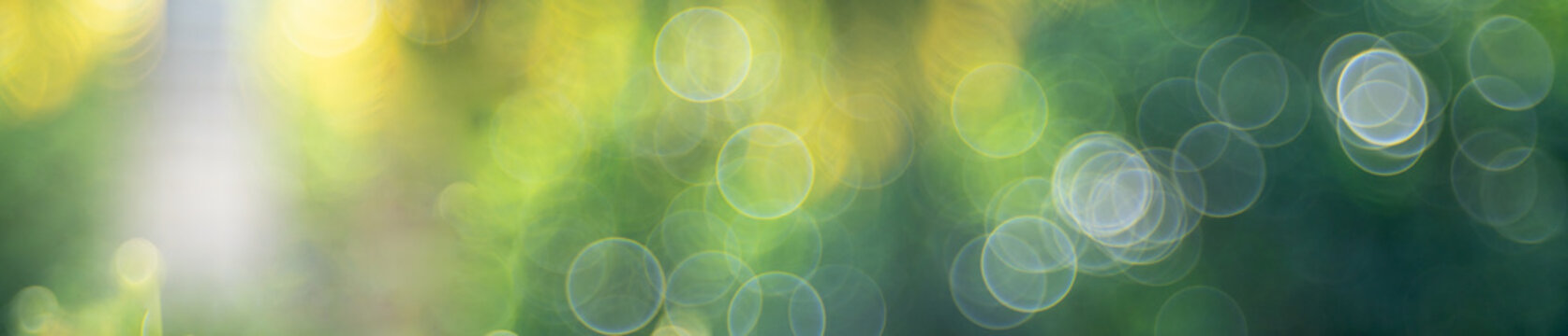 abstract light from nature colorful using as background cover page