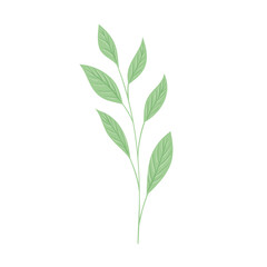 tropical branch with leaf pastel color on white background vector illustration design