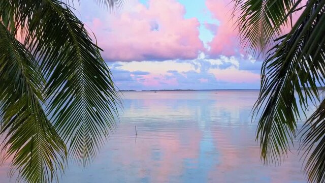 Drone flight between 2 coconut trees at dusk over the deserted tropical Ohoidertawun beach with vast area of white sand, Kei Kecil island, Maluku, Indonesia