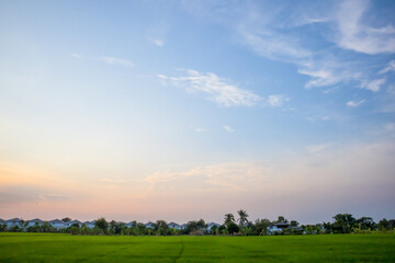 Fototapeta premium sky and cloud. clear day. blue sky. nature wallpaper.