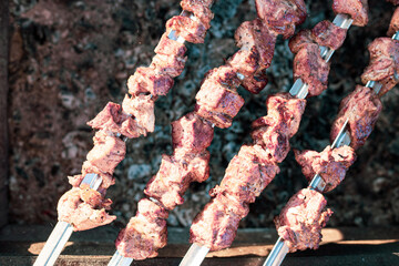 shish kebab on the grill