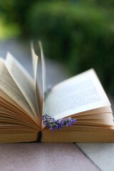 Open book and lavender flower. Reading in the garden. Selective focus.