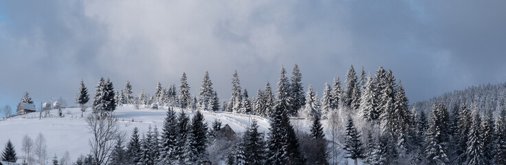 Village Sinevirska Polyana of Transcarpathian region Ukraine.