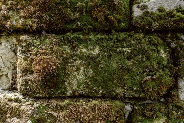 Texture background of old wall destroyed by time from white stone bricks