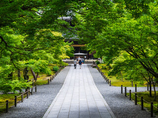 京都　南禅寺　法堂に続く参道