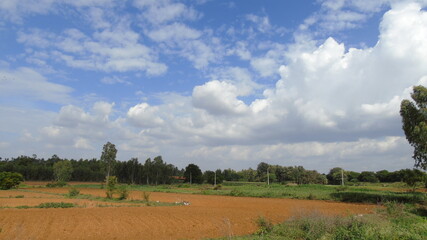 landscape with trees and clouds
