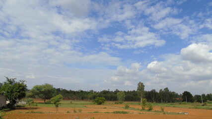 Obraz premium landscape with trees and clouds