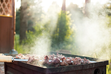 meat on the barbecue